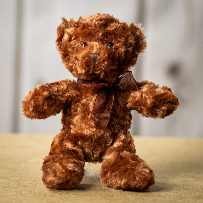 10" Classic Chenille Bear Bundle