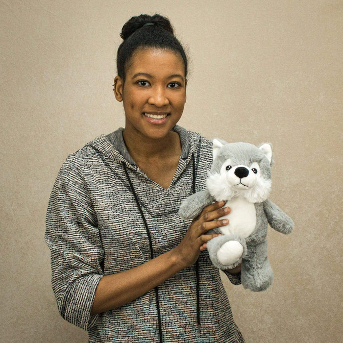 A woman holds a grey wolf that is 11 inches tall while standing