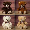 13" Paw Print Teddy Bears