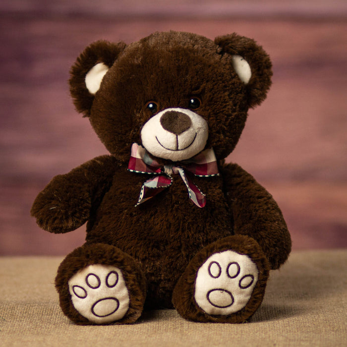13" Paw Print Teddy Bears