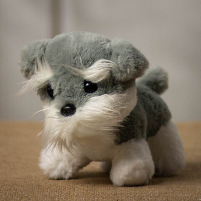 A gray & white puppy that is 7 inches tall while sitting