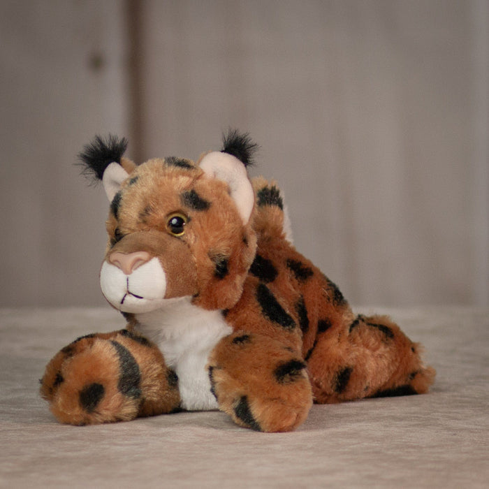 8" Cute & Small Wildcat