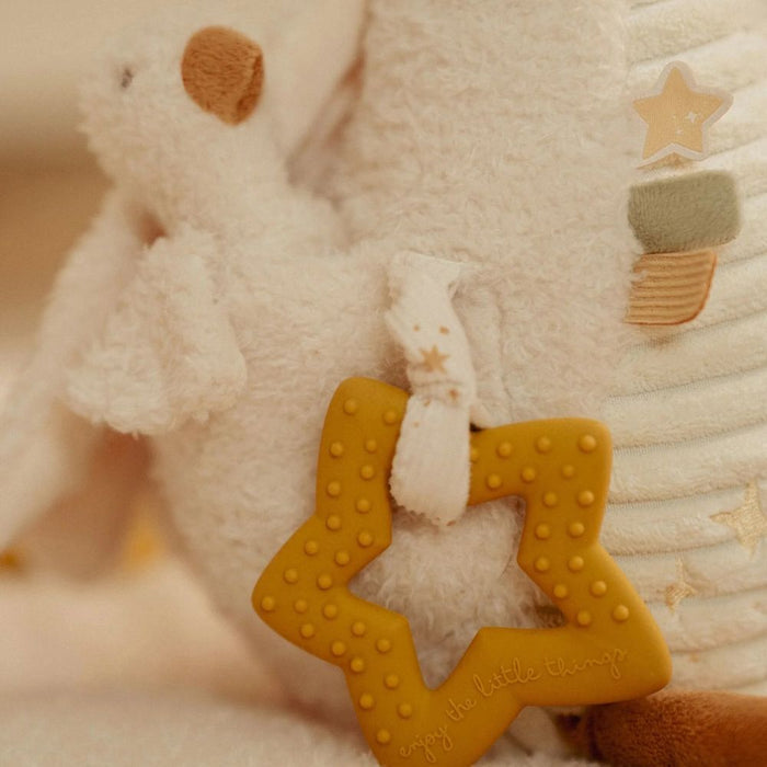 Activity Cuddle Toy Goose