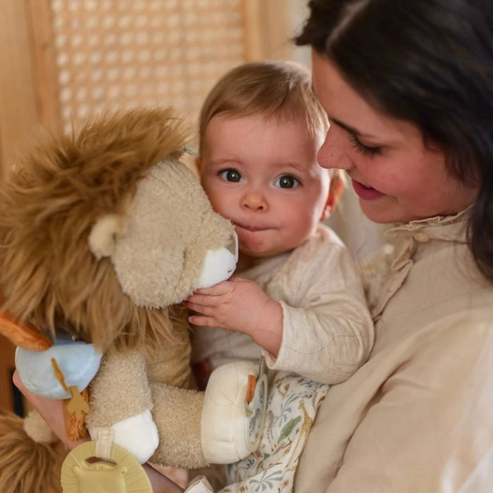 Activity Cuddle Toy Lion (Safari Friends)