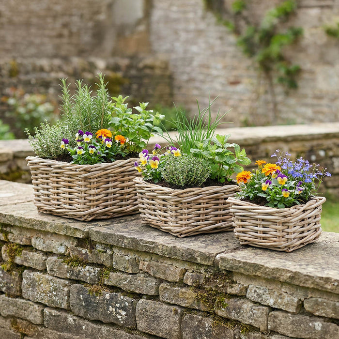 Anyana Indoor Outdoor Grey Kubu Square Basket Planters S/3