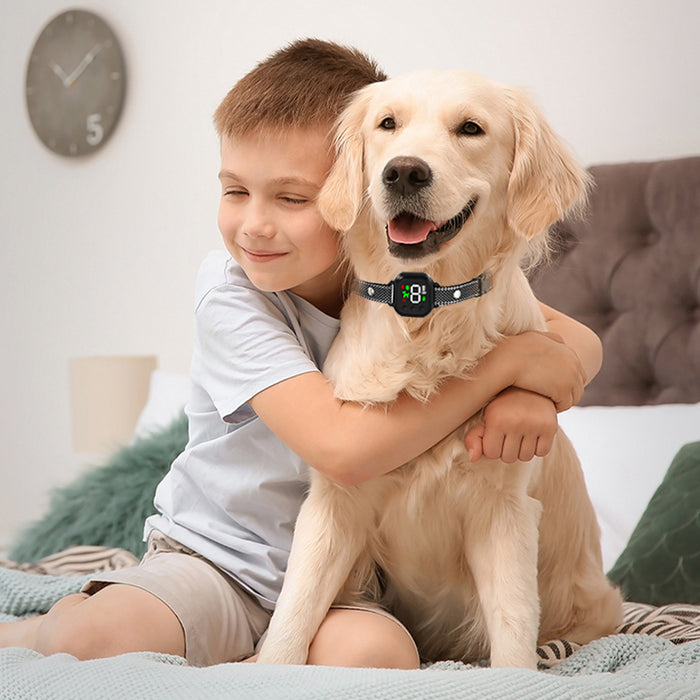 A cheerful child hugs a golden retriever wearing a black and gray automatic anti-barking collar in a cozy room.