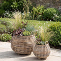 Bayan Indoor Outdoor Grey Kubu Bulbous Basket Planters S/2