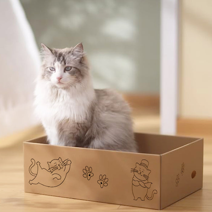 Reversible brown cat scratching board with playful cat designs, featuring a fluffy cat sitting inside it.