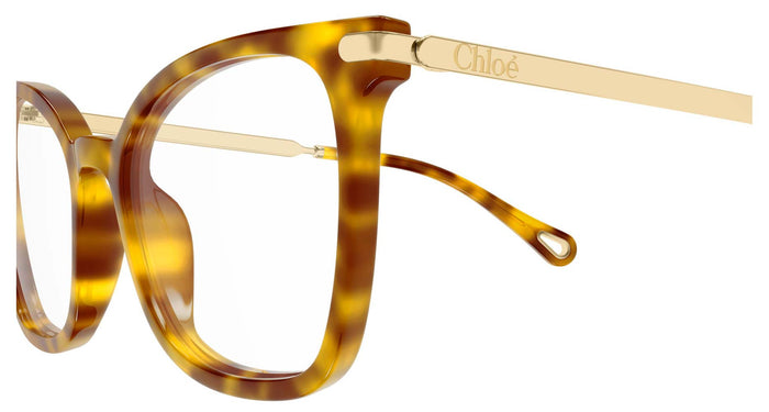 Chloe CH0360O #colour_havana