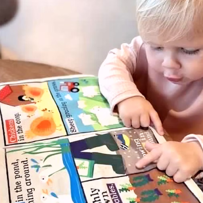 Crinkle Cloth Book - Farm