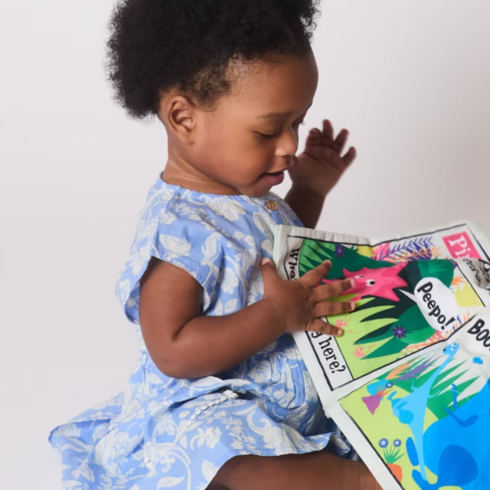Crinkle Cloth Book - Rainbow Dinosaurs
