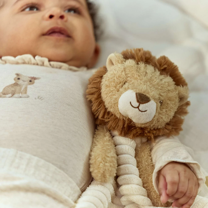 Cuddle Cloth Lion - Safari Friends