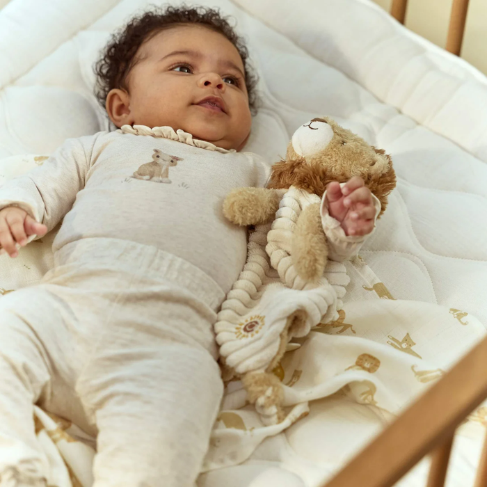 Cuddle Cloth Lion - Safari Friends