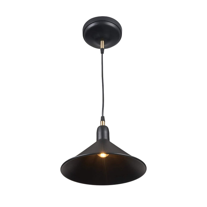 Ruma Matt Black Cone Pendant | Lighting | Rūma