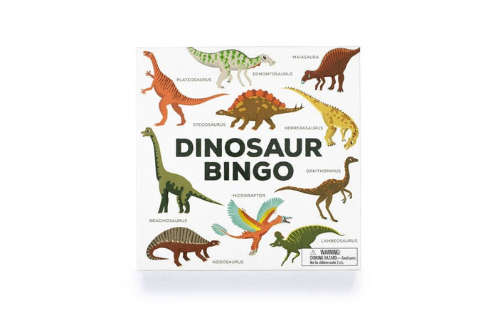 Dinosaur Bingo Game