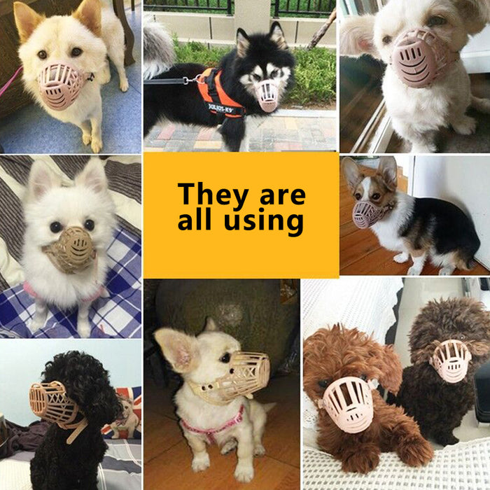 A collection of dogs wearing a light brown adjustable muzzle, showcasing various breeds and playful expressions.