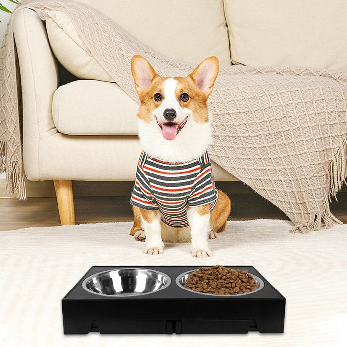 Elevated dog bowls in sleek black with stainless steel bowls, set on a cozy rug beside a happy corgi.