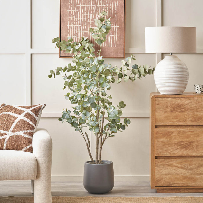 Eucalyptus Tree in Grey Pot Large