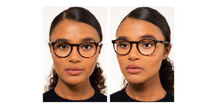 Brooklyn D113 Dark-Tortoise #colour_dark-tortoise