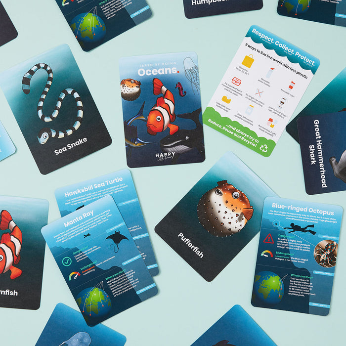 Ocean Flashcards