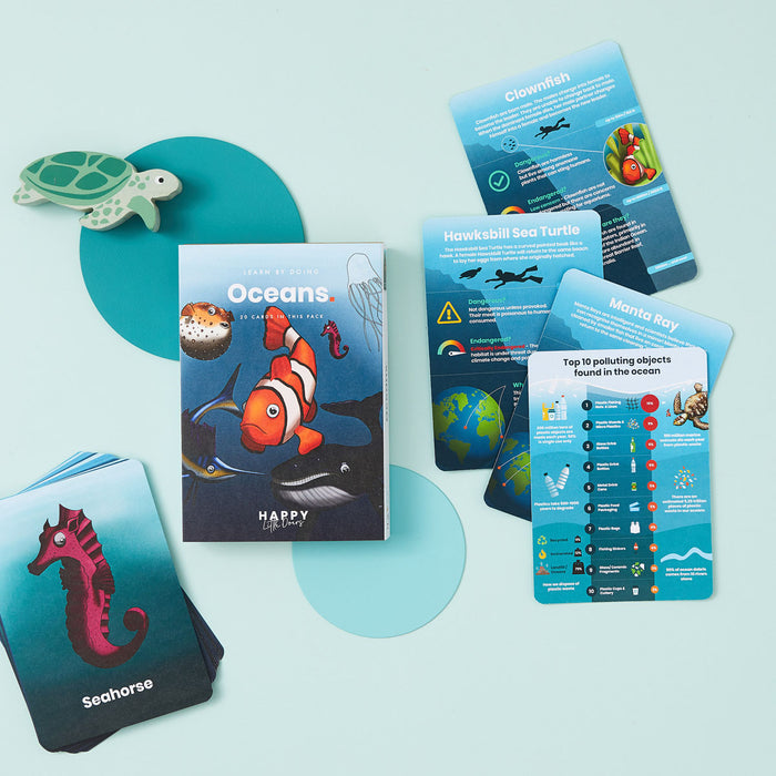 Ocean Flashcards