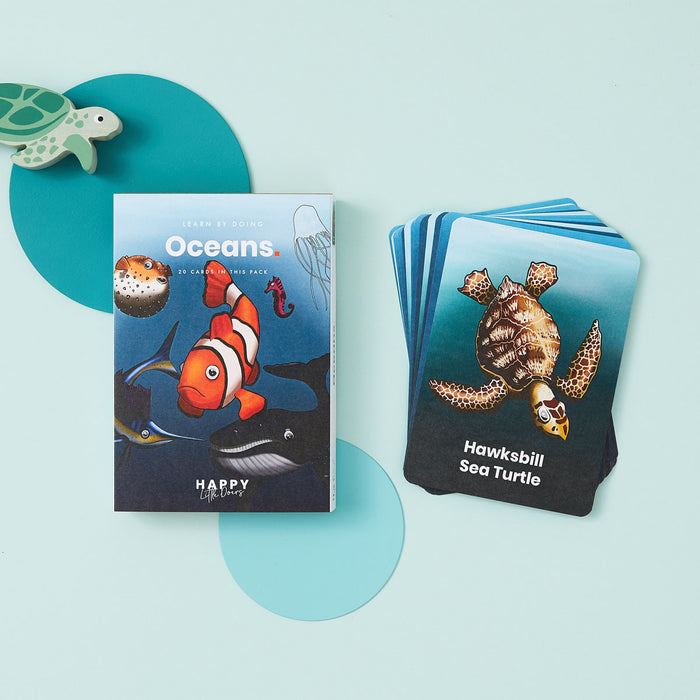 Ocean Flashcards