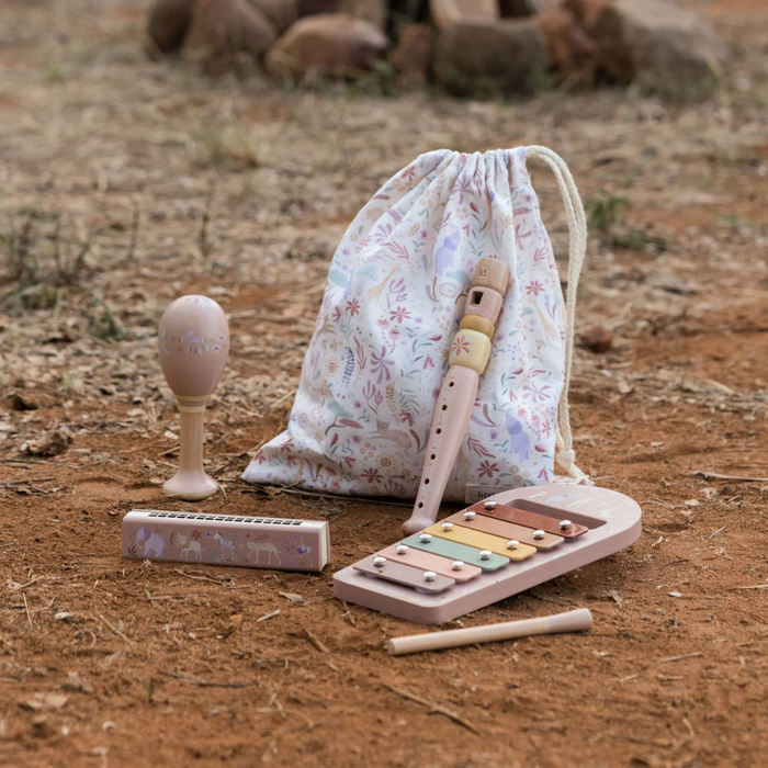 Pink Music Set - Safari Friends