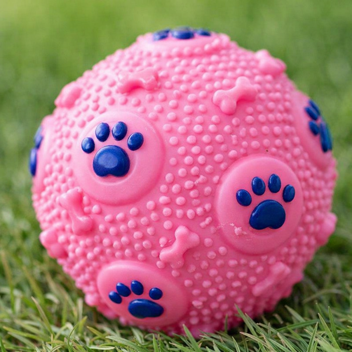 Puppy Teeth Cleaning Ball — main
