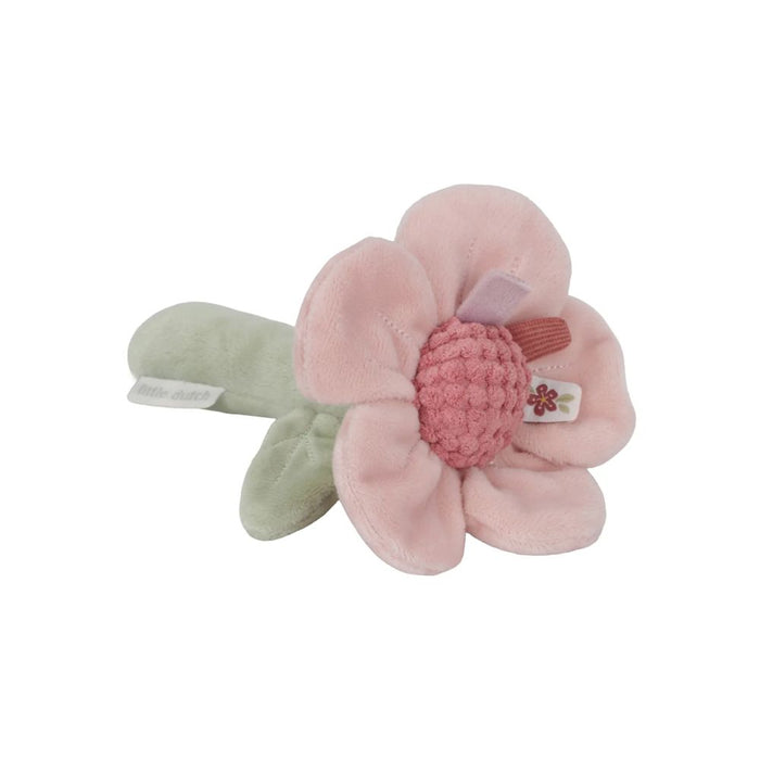 Rattle Flower - Fairy Garden