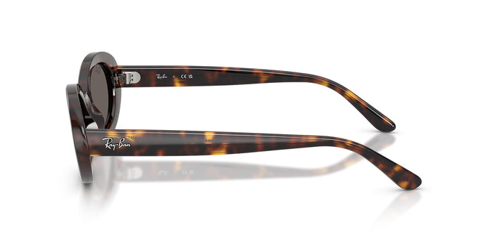 Ray-Ban RB2223 #colour_havana/dark grey
