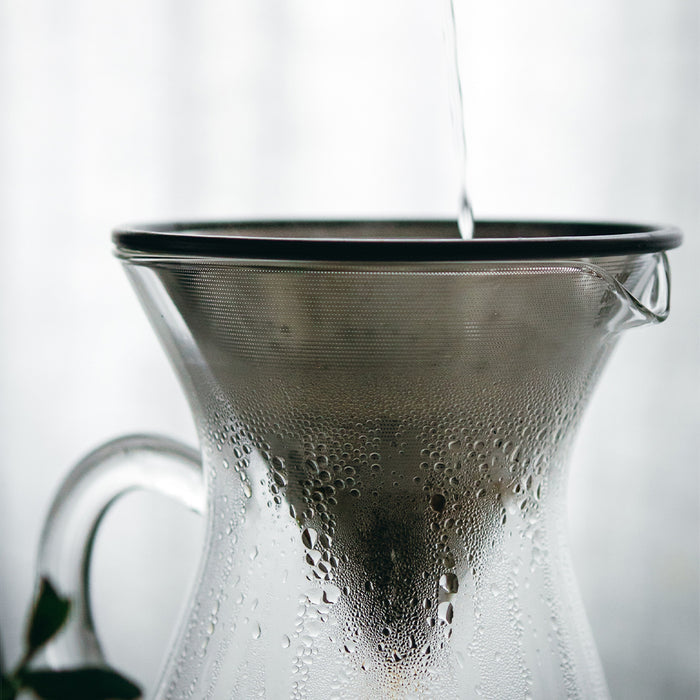 SCS stainless steel filter 2cups