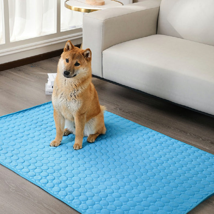 A light blue self-cooling pet mat with a textured surface, featuring a dog sitting on it in a modern living room setting.