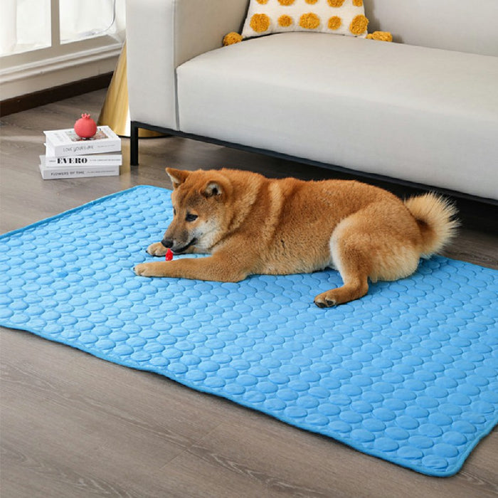 A blue self-cooling pet mat laid on a wooden floor, with a brown dog playing with a red toy beside it.