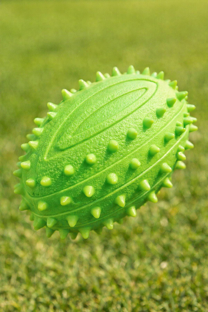 Squeaky Rugby Shaped Ball Toy for Dogs — main