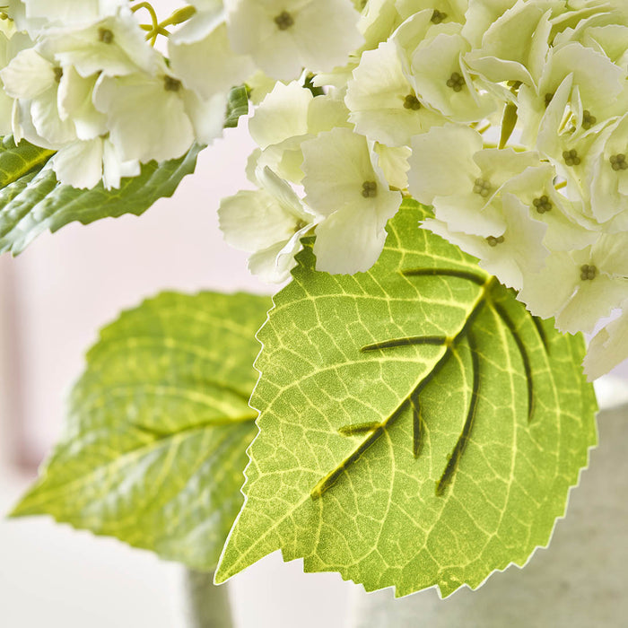 White Hydrangea Stem
