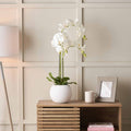 White Orchid in White Pot Medium
